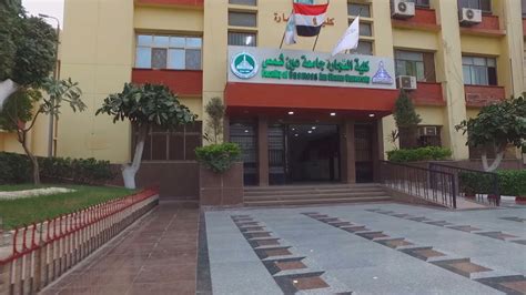 Universitas Ain Shams